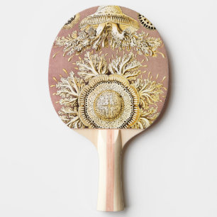 Raquete De Ping Pong Água-viva, Desconto de Ernst Haeckel