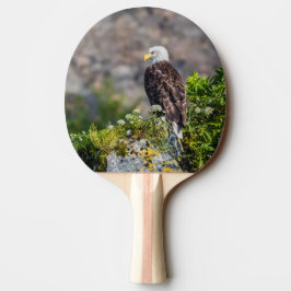 Raquete De Ping Pong Águia caída sentada na rocha