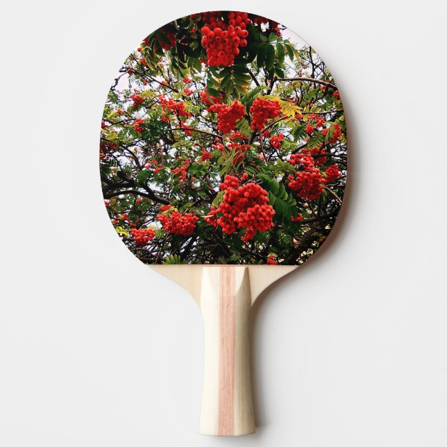 Raquete De Ping Pong Airelas vermelhas (Frente)