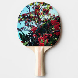 Raquete De Ping Pong Airelas vermelhas