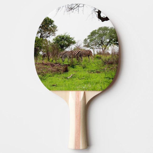 Raquete De Ping Pong Animais Selvagens (Frente)