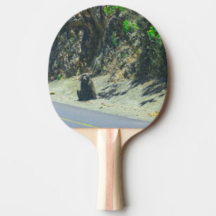 Raquete De Ping Pong Animais Selvagens