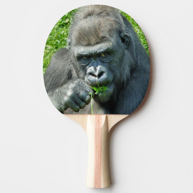 RAQUETE DE PING PONG ANIMAIS SELVAGENS - GORILAS (Frente)