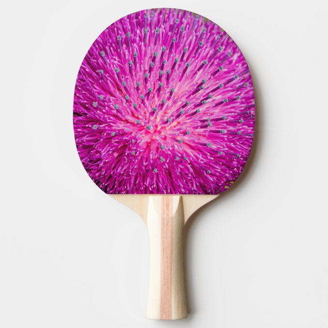 Raquete De Ping Pong Aperto do caroço do leite (Frente)