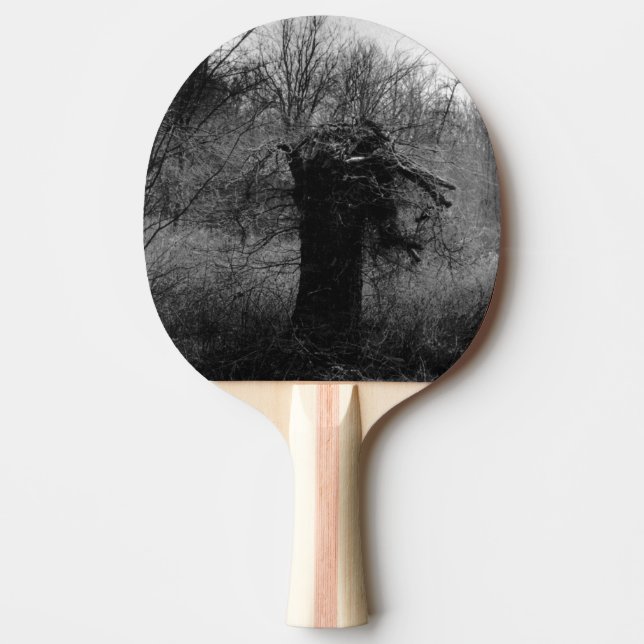 Raquete De Ping Pong Árvore Antiga (Frente)