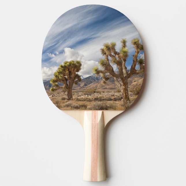Raquete De Ping Pong Árvores de Joshua no deserto (Frente)
