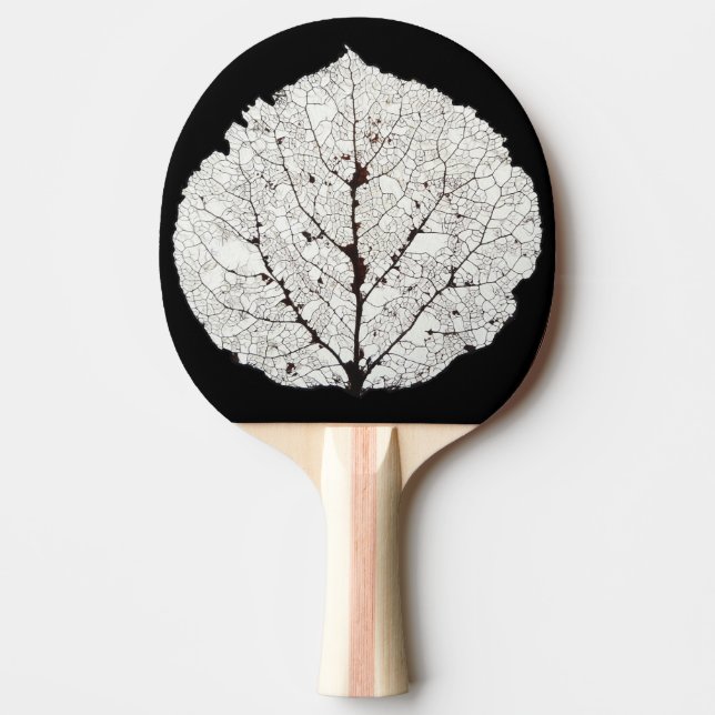 Raquete De Ping Pong Aspen Esqueleto 1 (Frente)