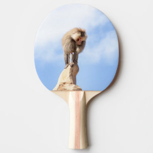 Raquete De Ping Pong Babuíno no topo de uma montanha