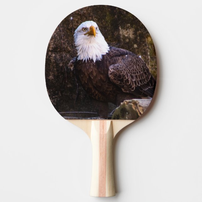 Raquete De Ping Pong Bald Eagle (Frente)