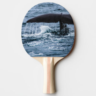 Raquete De Ping Pong Baleia de esperma