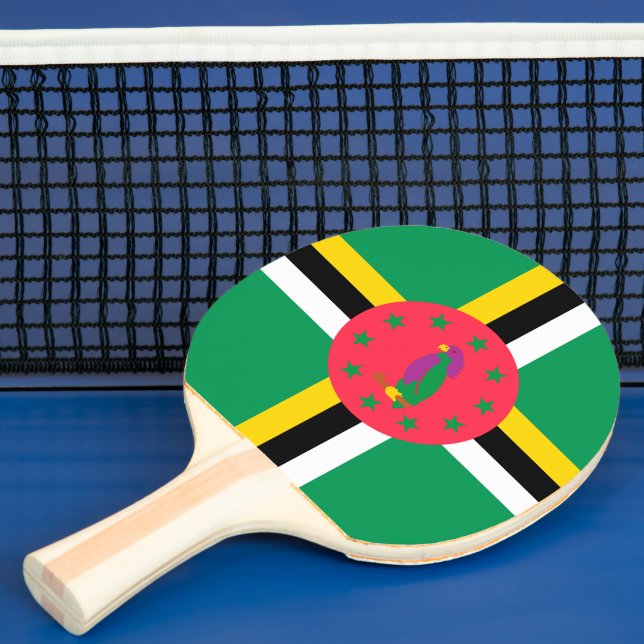 Raquete De Ping Pong Bandeira da Domínica (Insitu)