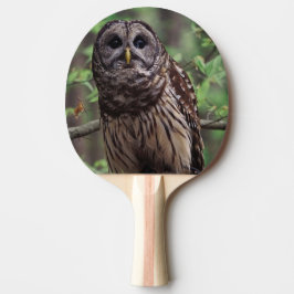 Raquete De Ping Pong Barred Owl