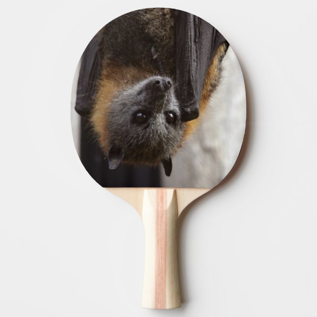 Raquete De Ping Pong Bastão australiano (Frente)