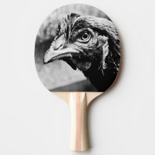 Raquete De Ping Pong bebidas espirituosas e galinhas