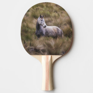 Raquete De Ping Pong Belo Cavalo Colorido de Cinzas