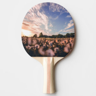 Raquete De Ping Pong belo céu sobre o plano