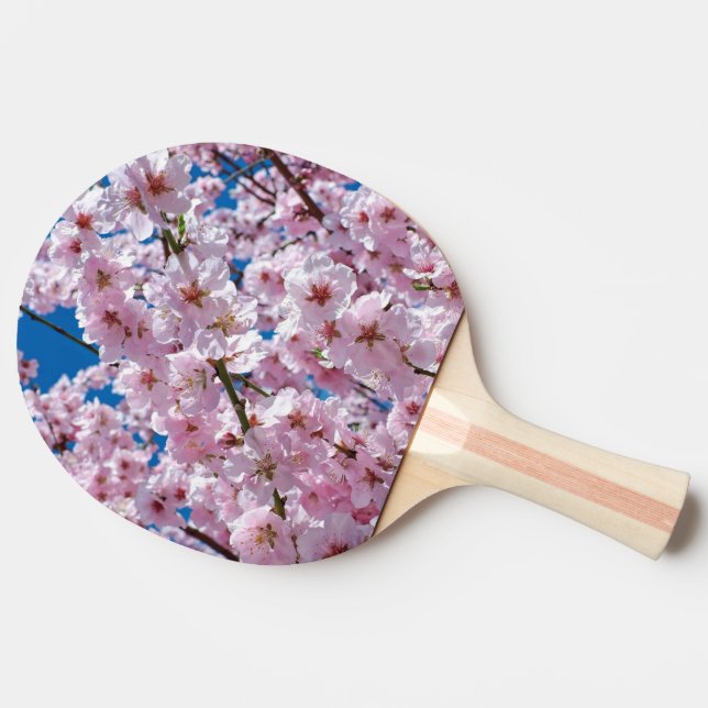 Raquete De Ping Pong Belo Primavera Cherry Blossoms (Lateral)