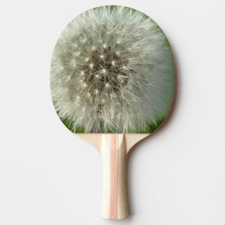 Raquete De Ping Pong Big White Dandelion