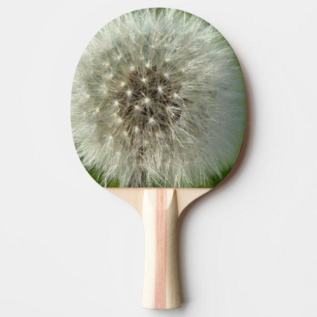 Raquete De Ping Pong Big White Dandelion (Frente)