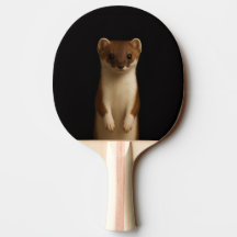 Black 4 Luxe ping pong paddle, Elegant Weasel