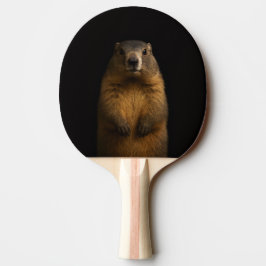 Raquete De Ping Pong Black 4 Luxe ping pong paddle, Fluffy Marmot