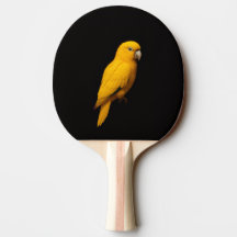 Black 4 Luxe ping pong paddle, Golden Parakeet