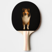 Black 4 Luxe ping pong paddle, Loyal Collie Dog