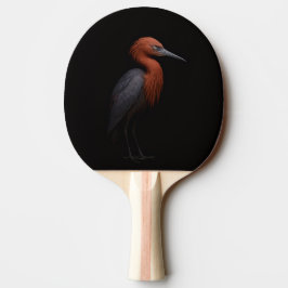 Raquete De Ping Pong Black 4 Luxe ping pong paddle, Reddish Egret