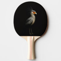Black 4 Luxe ping pong paddle, Secretarybird