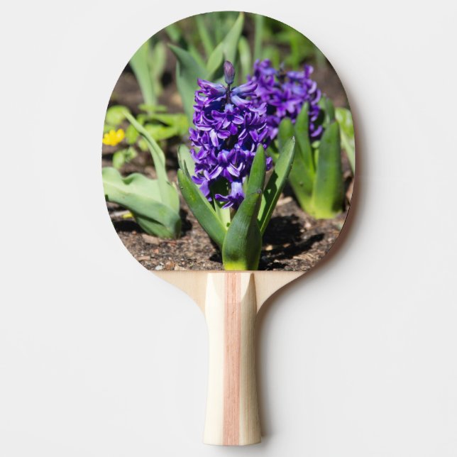 Raquete De Ping Pong Blue Geocinth em primavera (Frente)