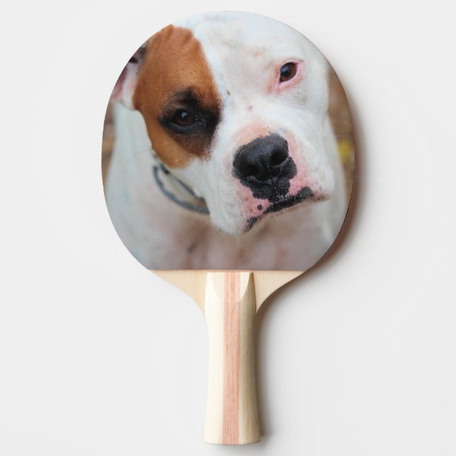 Raquete De Ping Pong Boop (Frente)