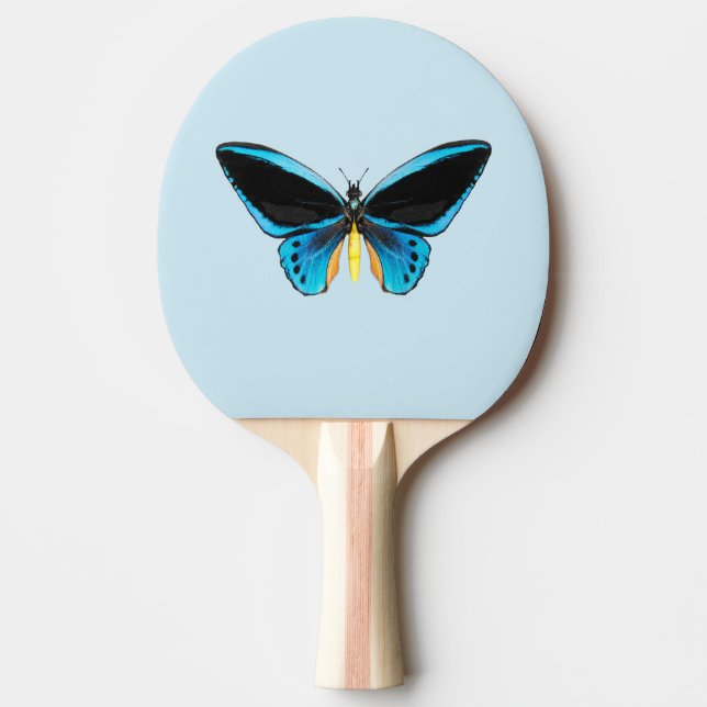 Raquete De Ping Pong Borboleta Birdwing (Frente)