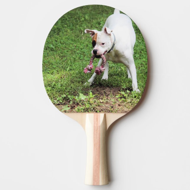 Raquete De Ping Pong Boxer (Frente)