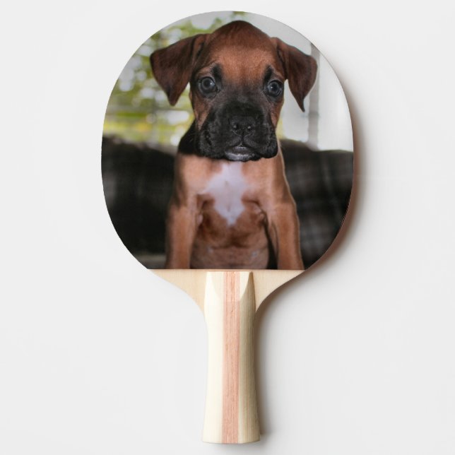 Raquete De Ping Pong Boxer Bqby (Frente)