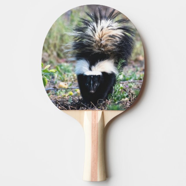 Raquete De Ping Pong Branco e preto-e-branco (Frente)