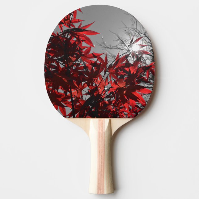 Raquete De Ping Pong Brasas de Outono (Frente)