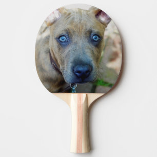 Raquete De Ping Pong Brindle Pit Bull Puppy por Shirley Taylor