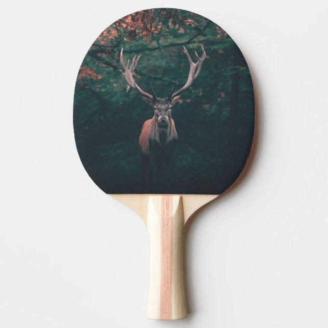 Raquete De Ping Pong Buck Deer Wild Animal (Frente)