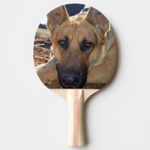Raquete De Ping Pong Cachorro Alsaciano De Olhos Sonolentos