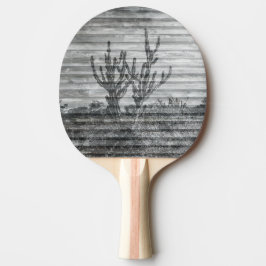 Raquete De Ping Pong Cactus Plants On Wood Planks Black And White Photo