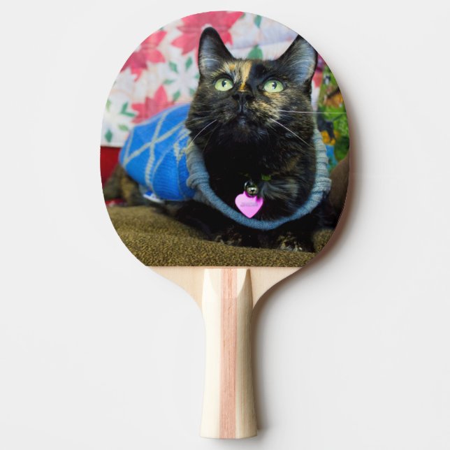 Raquete De Ping Pong Calico II (Frente)