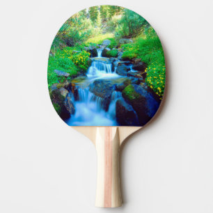 Raquete De Ping Pong Campos Celestiais nas Montanhas da Sierra Nevada