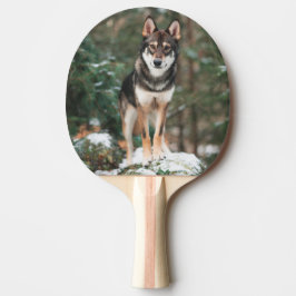Raquete De Ping Pong Cão-lobo