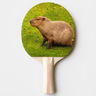 Raquete De Ping Pong Capivara