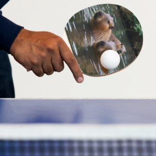 Raquete De Ping Pong Capybaras Nadando No Rio,