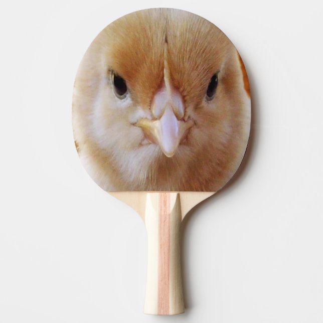 Raquete De Ping Pong Carinha de frango, (Frente)
