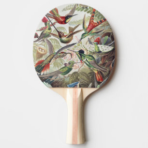 Raquete De Ping Pong Cartaz Colorido Vintage de Beija-flor de Ernst Hae