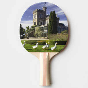 Raquete De Ping Pong Castelo Larnach, Península de Otago, Dunedin,