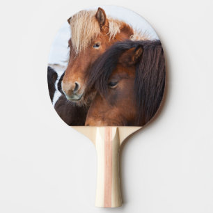 Raquete De Ping Pong Cavalo Islandês durante o inverno na Islândia