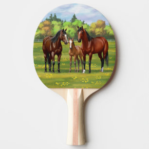 Raquete De Ping Pong Cavalos De Quarto De Baía De Brown Em Pastagem De